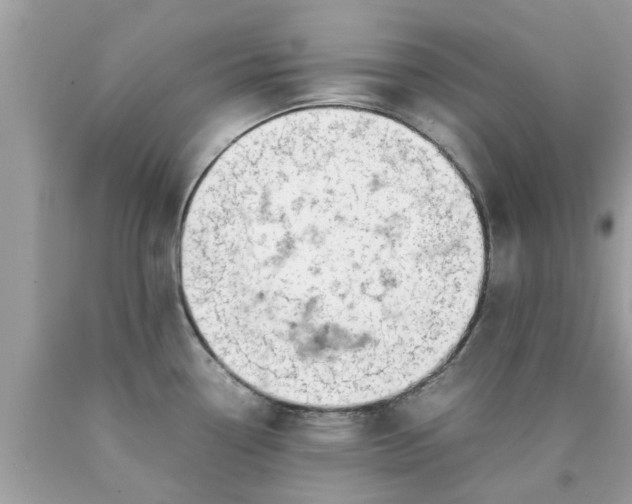 X0000090431338200707272123