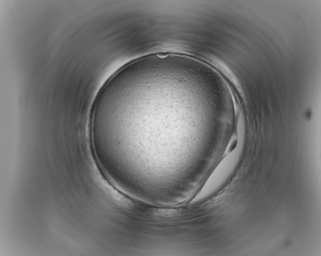 X0000090431339200707272123