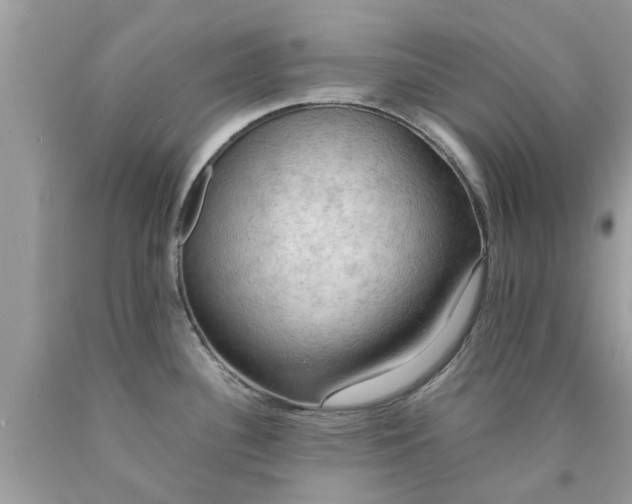 X0000090431340200707272123