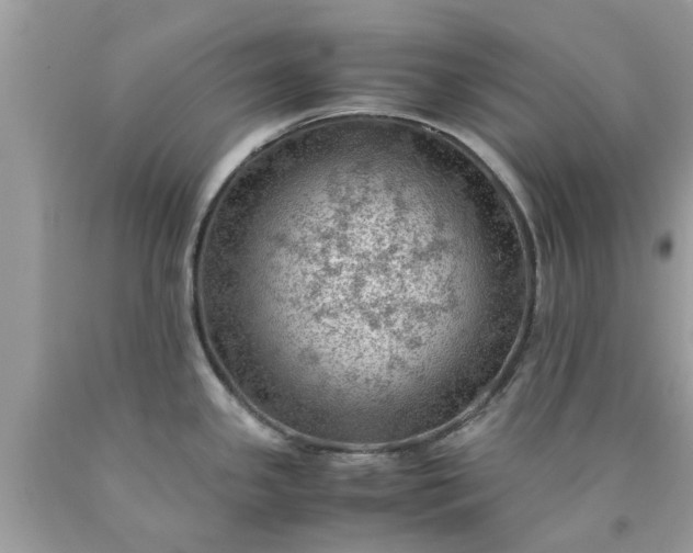 X0000090431341200707272123