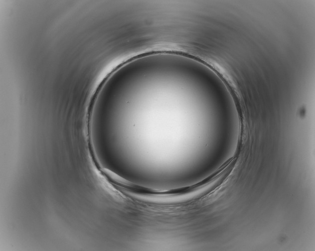 X0000090431342200707272123