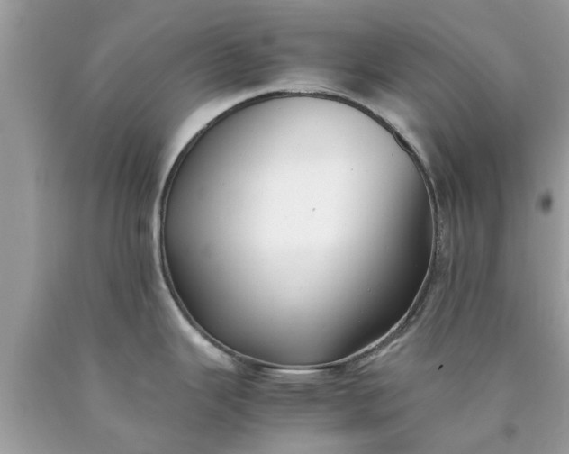 X0000090431343200707272123