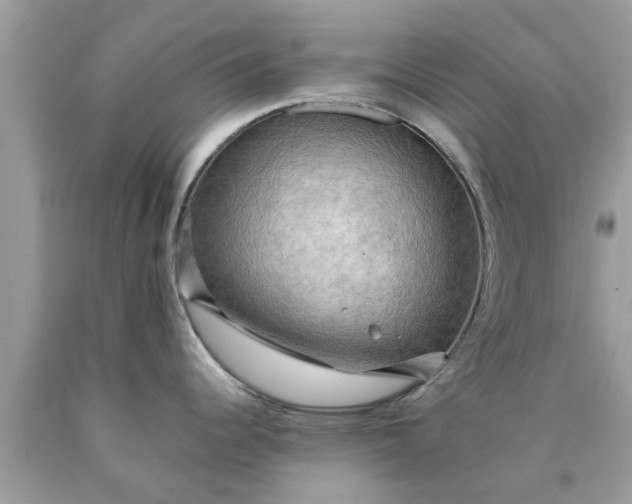 X0000090431344200707272123