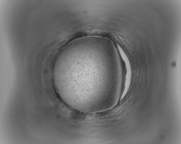 X0000090431345200707272123