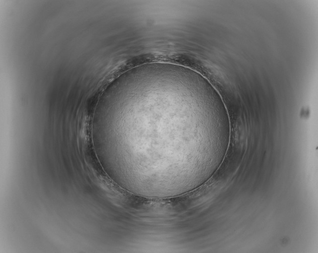 X0000090431346200707272123