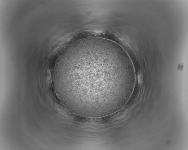 X0000090431347200707272123