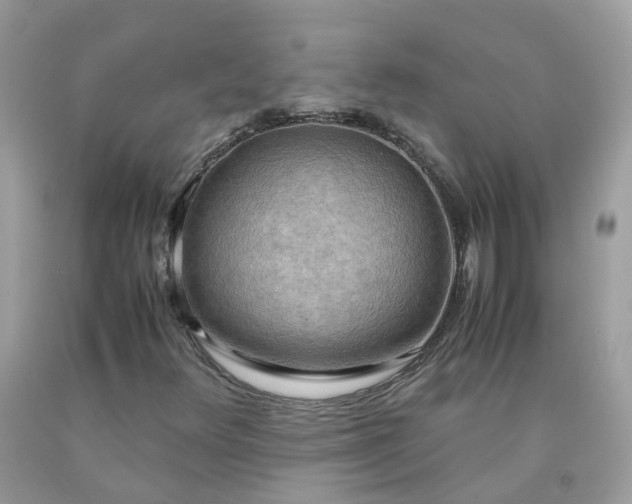 X0000090431348200707272123