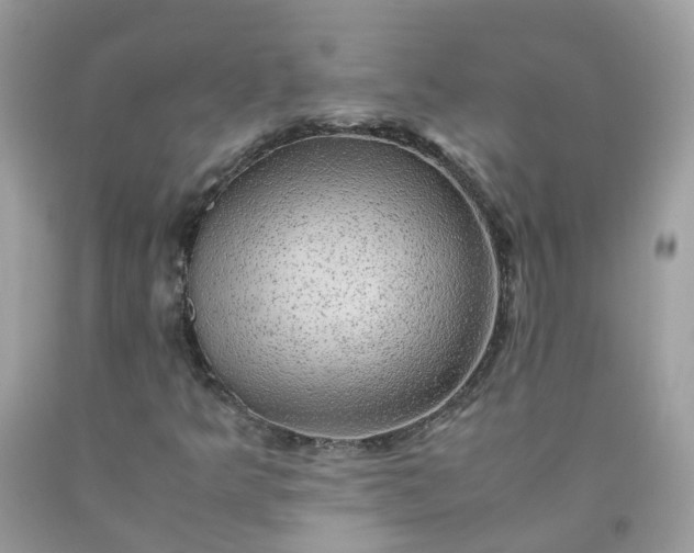 X0000090431349200707272123