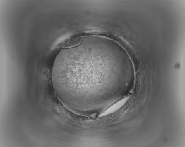 X0000090431351200707272122