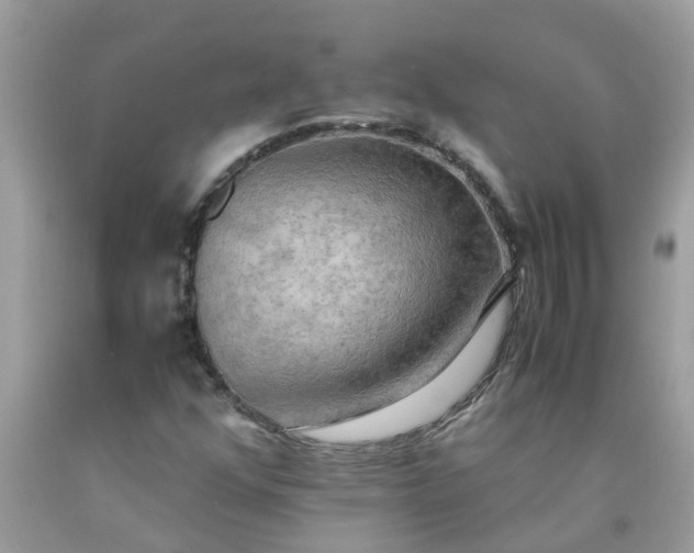 X0000090431352200707272122