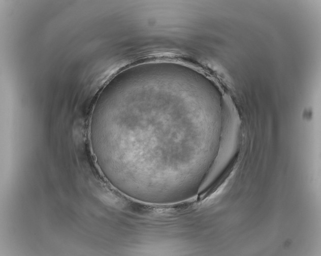 X0000090431353200707272122