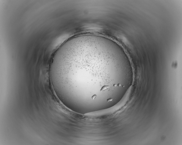 X0000090431354200707272122