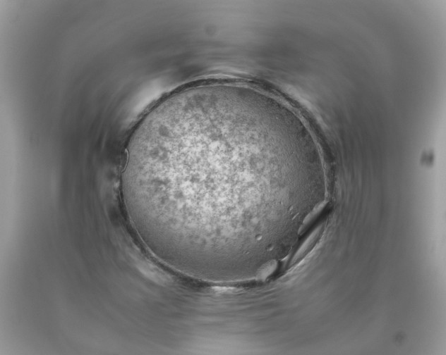 X0000090431355200707272122