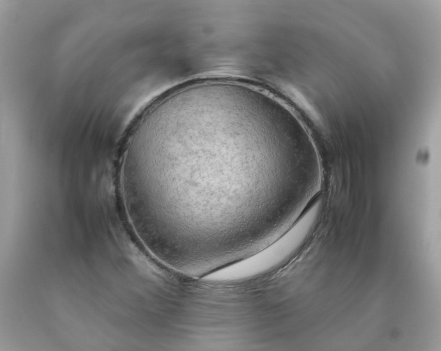 X0000090431356200707272122