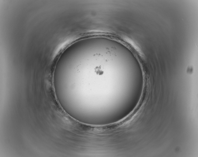 X0000090431357200707272122