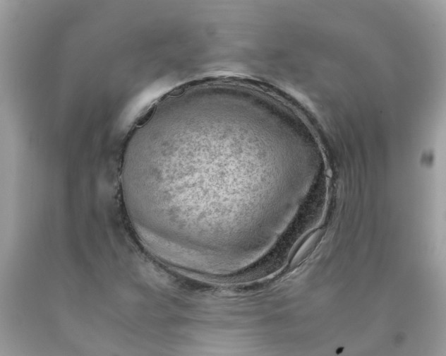 X0000090431359200707272122