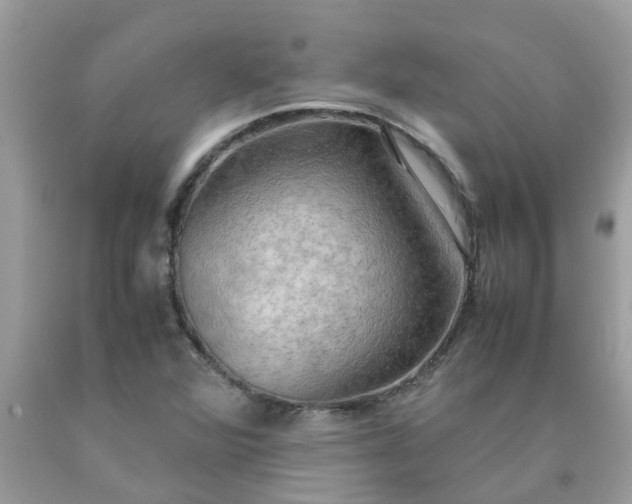 X0000090431360200707272122