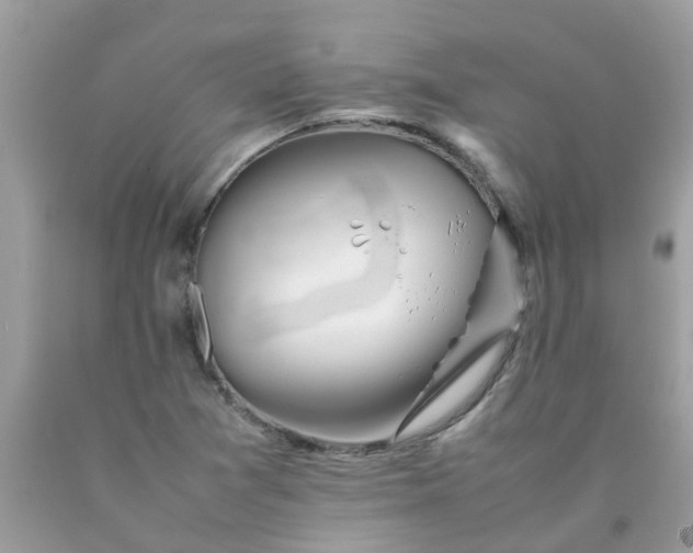 X0000090431361200707272122