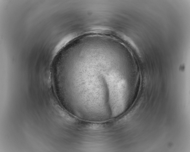 X0000090431362200707272122