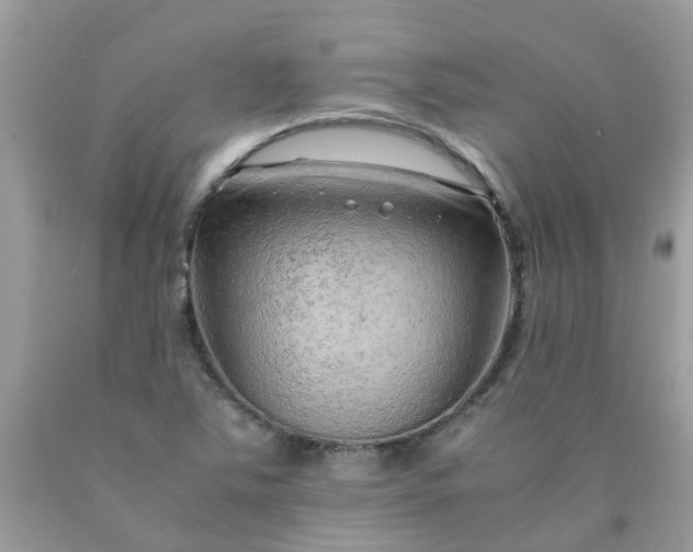 X0000090431363200707272122