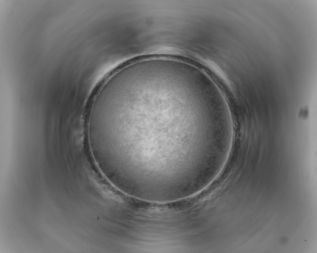 X0000090431364200707272122