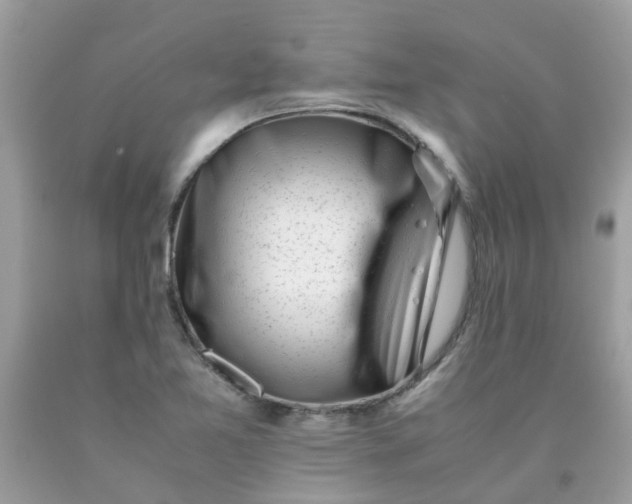 X0000090431365200707272122