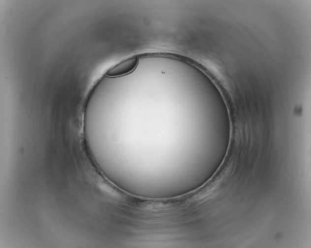 X0000090431366200707272122