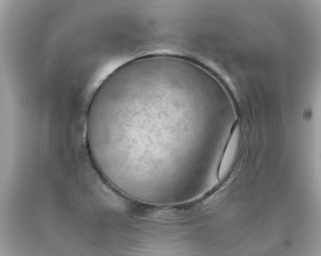 X0000090431367200707272122