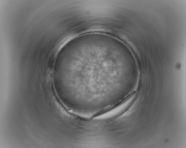 X0000090431369200707272122