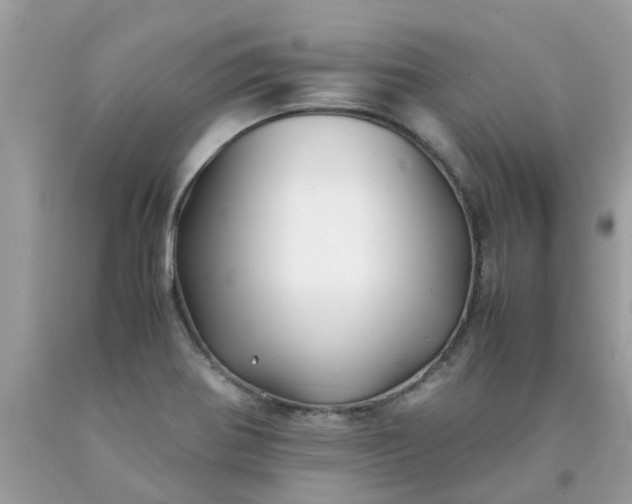 X0000090431370200707272122