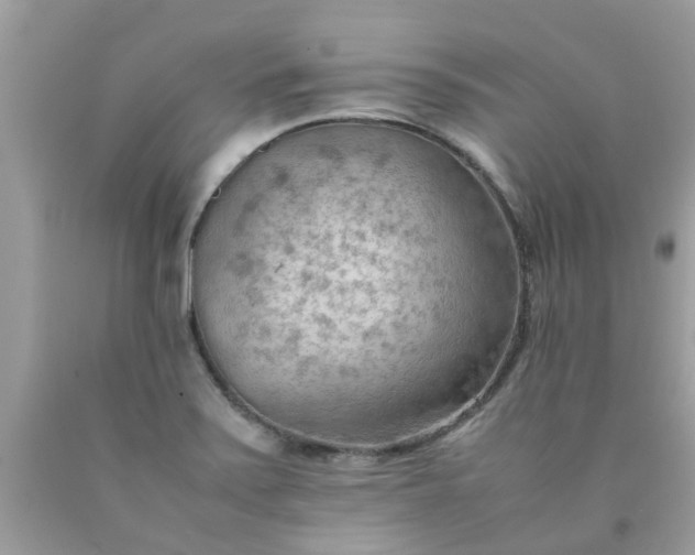 X0000090431371200707272122