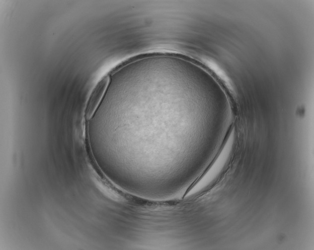 X0000090431372200707272122