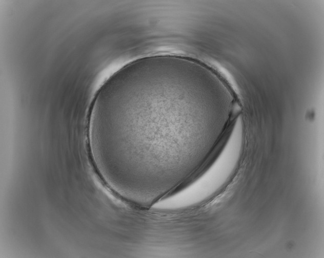 X0000090431373200707272122