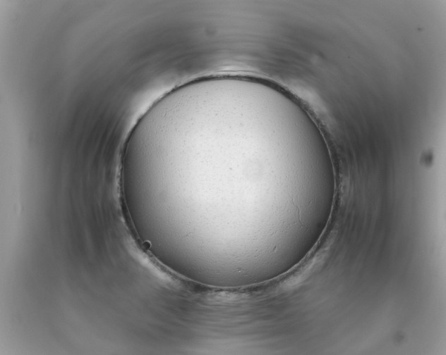 X0000090431374200707272122