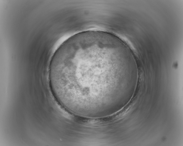 X0000090431375200707272122