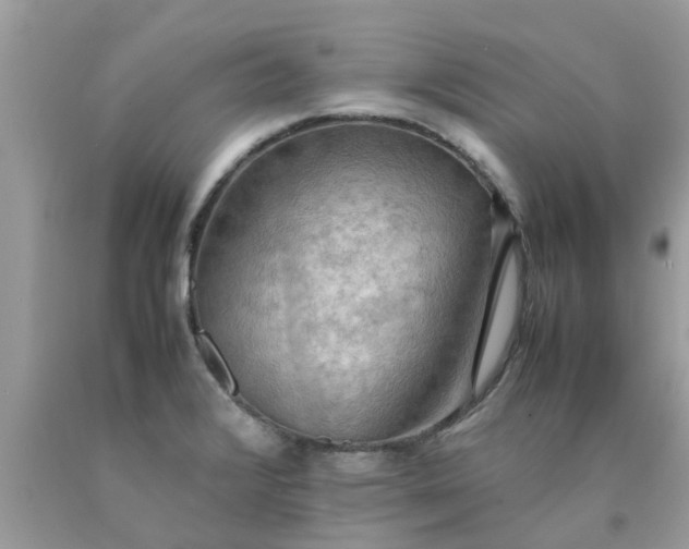 X0000090431376200707272122