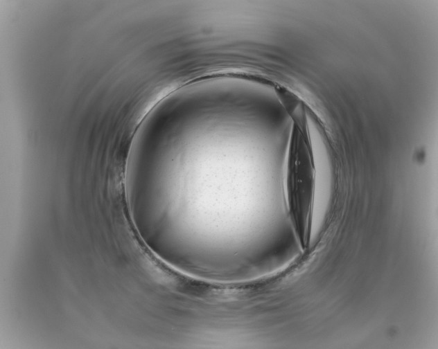 X0000090431377200707272122