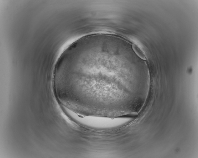 X0000090431379200707272122