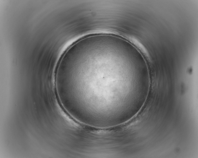 X0000090431380200707272122