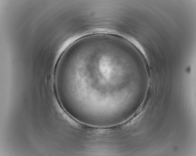 X0000090431381200707272122