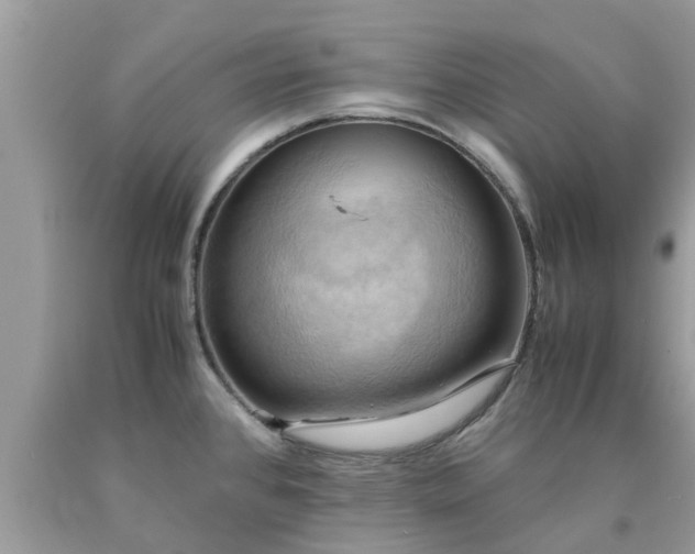 X0000090431384200707272122