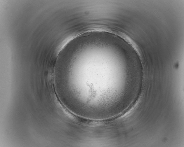 X0000090431385200707272122