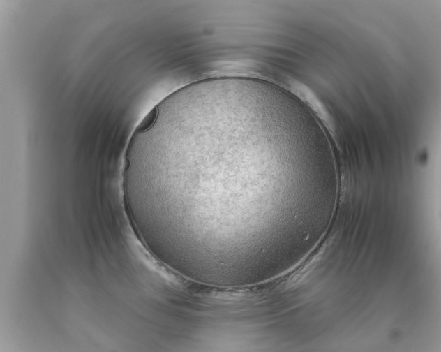 X0000090431386200707272122