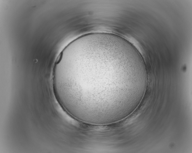 X0000090431387200707272122