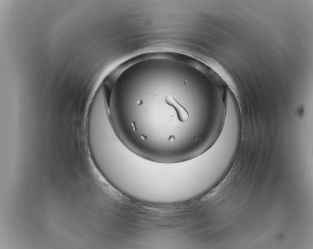 X0000090431388200707272122