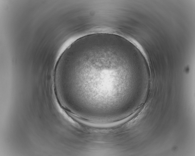 X0000090431389200707272122