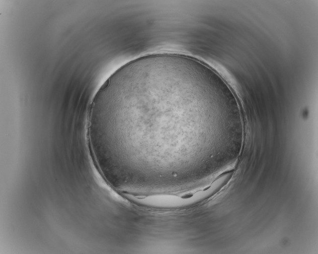 X0000090431390200707272122