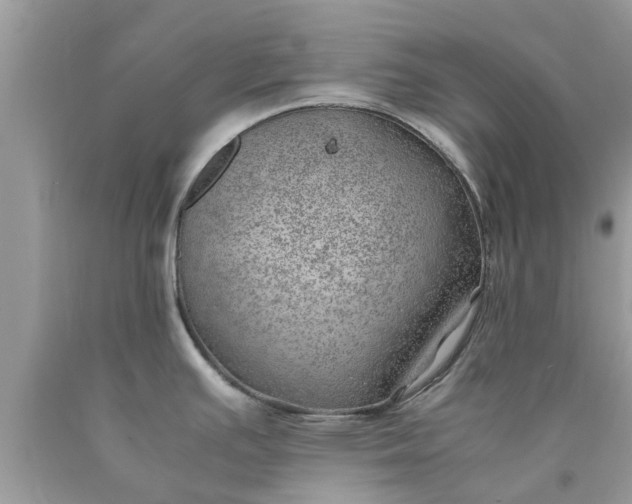 X0000090431391200707272122