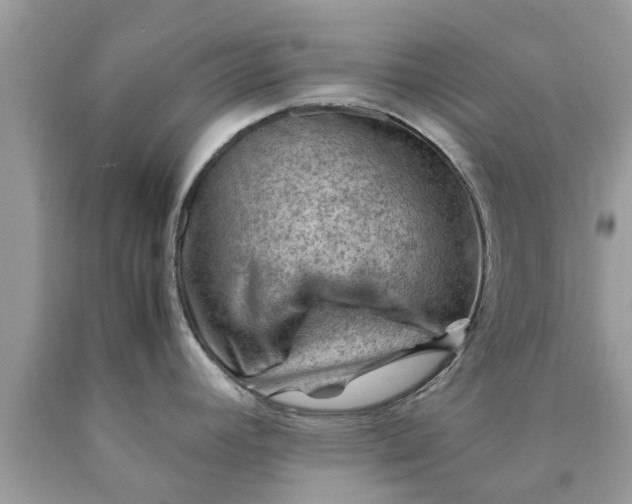 X0000090431392200707272122