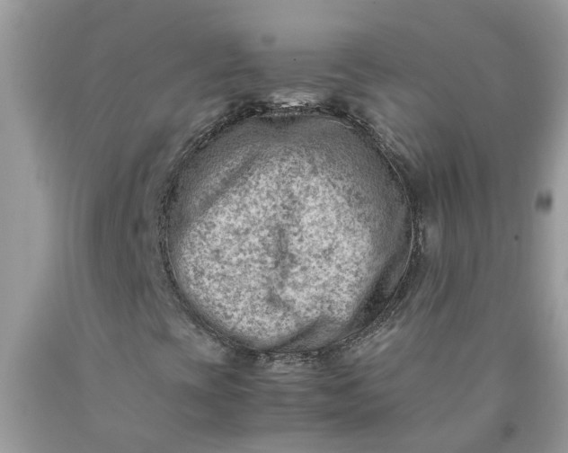 X0000090431393200707272121